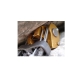 Klemmgeraete Totem Cams