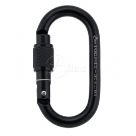 Stahlkarabiner Total Oval Screw