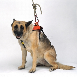 Hundegurt Smeus