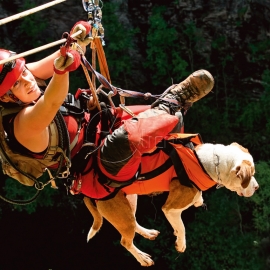 Hundetransportgurt Laika