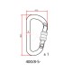 Zubehörkarabiner Accessory Screw