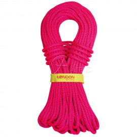 Kletterseil Master 9.0 TeFIX®