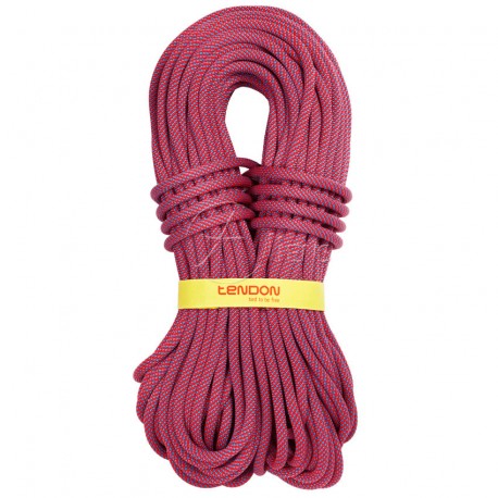 Kletterseil Ambition 10.5