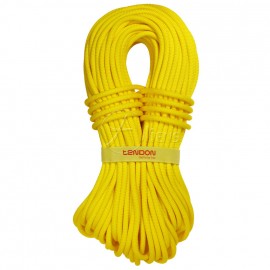 Kletterseil Ambition 9.8 | Tendon