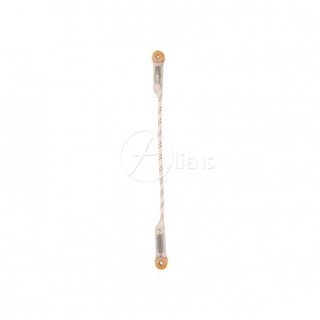 Lanyard I