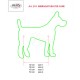 Hundegurt TAXI